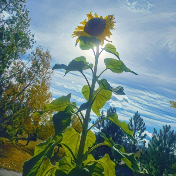 Meet your Posher, Melissa - Picture 1 of 1